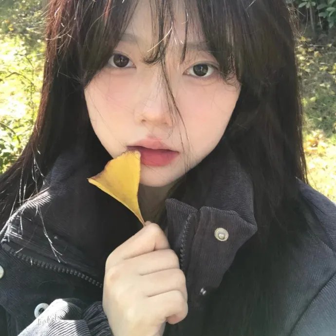 在西伯利亚森林中